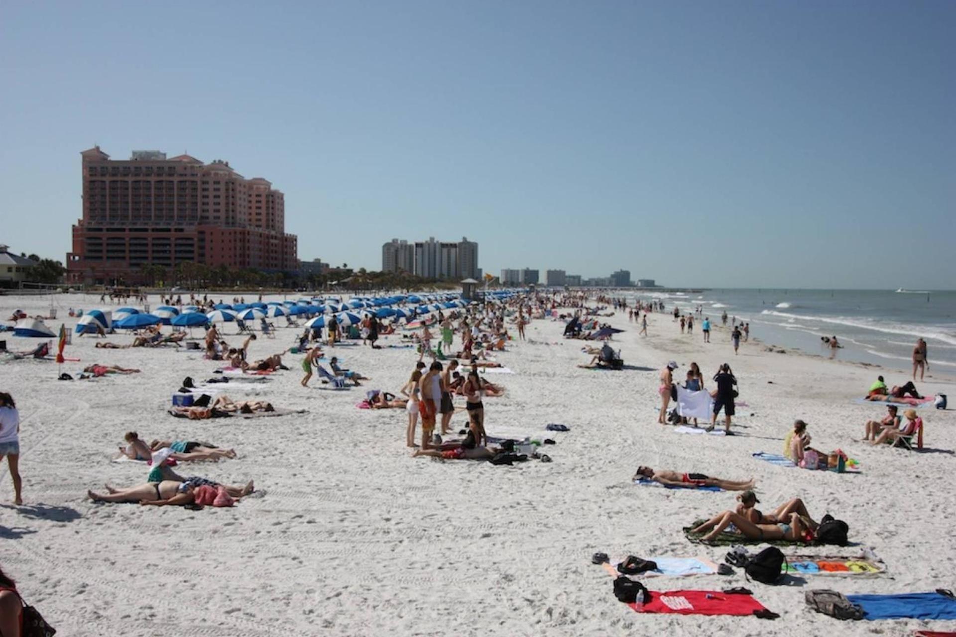 201 Belleair Beach Club Clearwater Beach Extérieur photo